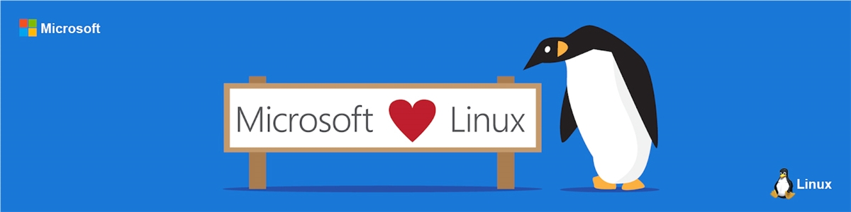 WSL：在Windows中使用Linux